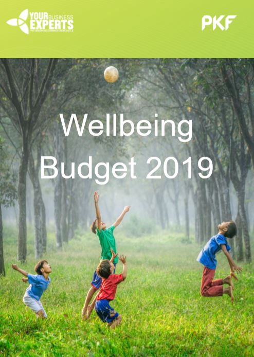 2019 Budget Briefing