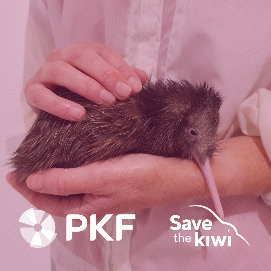 Save the Kiwi and PKF New Zealand